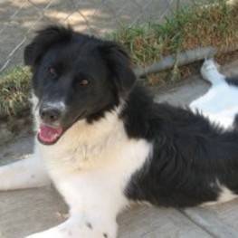 D 1b2435f9 f073 465c 90ca 8592315a4d15