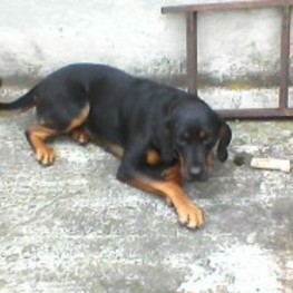 D 49fafd95 e3f6 4a5d b02b b1f41b03cfc1