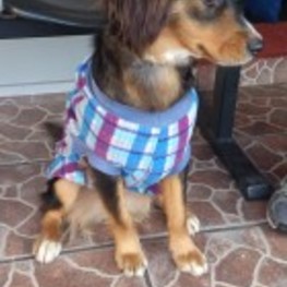 D c3647343 bf05 4219 8a69 c1209ba268fe