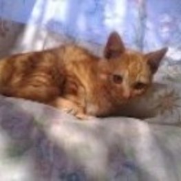 D 7dafbd48 067e 4703 931c 6b92fed6a92a