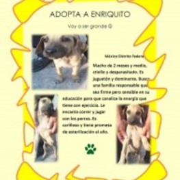 D 8d1ea804 19d9 4066 9efb c3ee7da92570