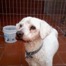 D 442385dd 1121 495a 94c4 992d9884bc88