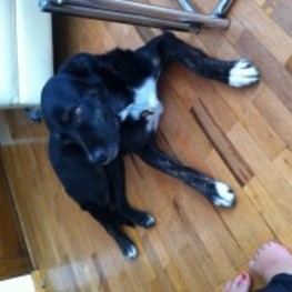 D 431c47c1 6314 4a29 9720 1ad28d467ae2