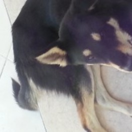 D 8be9f152 4b65 4a1c 8593 11213a675d3c