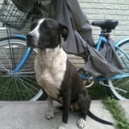 D 09fcdaa1 8fcc 4850 a33d 89f99dc07dc3