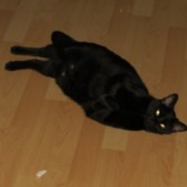 D 1c8f425a 934c 483c 930f 4843df756917