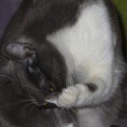 D dd373900 d5c3 4227 8b74 0795cfb3c30f