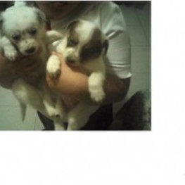 D dc80afb2 8680 4323 a4d4 3eb1a15d0cc0