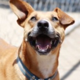 D aaa66911 f021 45c1 8f79 9c184bd32364