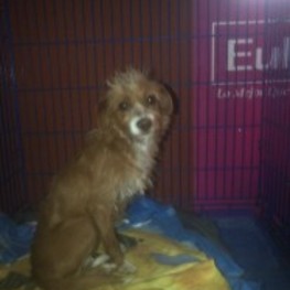 D 76200f86 723d 4521 a64a c779362ddfce