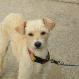 D ba326525 8c49 4e95 953f 8e47f6a22b9b