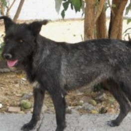 D 03e63329 7984 405e b7ec 10f0f5669371