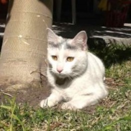 D d72785e0 7e30 4b65 bca8 6bd9be28abc2