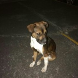 D d067a971 55a3 4aa2 90f1 615adffd7b37