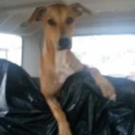 D 3dc28074 a525 4a6d 9146 1f8a8d3fc515