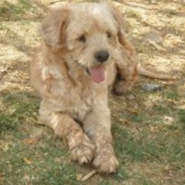 D 5c50e9a7 7f87 451e 9279 99ea3a077db8