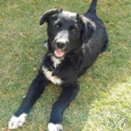 D bedb2415 3c5a 4741 847b 211972ff0718