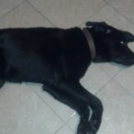 D 718820d2 ae53 4826 a0cc 5436438c390c