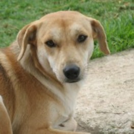 D 3fca9b51 3cb8 407f a098 a41fd818648c