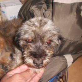 D 8b29671f 3898 4174 a3ec b6b67111f086