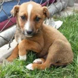 D 4040d867 70c1 4170 887d 710949f48511