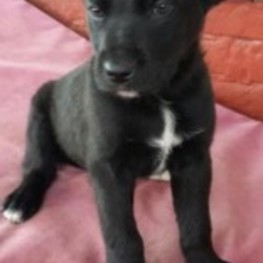 D 2b3aba02 97a9 4a61 bf27 0cb2030467e7