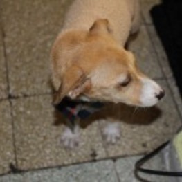 D 345b4eee 0375 4877 874f 3e3aacdfbd74