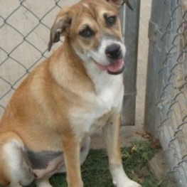 D 5902c5a3 5b81 4a90 9627 274fc28b2da1