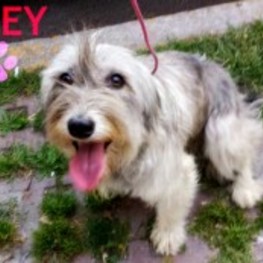 D 8f1efee1 e9b3 4a7d beec 984f39ce123b