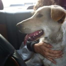 D 6d3b81d2 ab2b 48aa 8946 0c4dc3c84de2