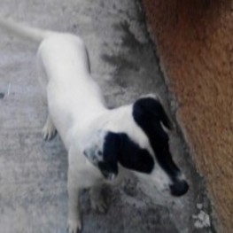 D d8c57366 089f 4dac a3d3 9abdb7702b52