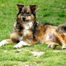 D 1698e2db 0683 4732 90f8 a8cafe49a388