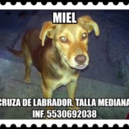 D 510317a1 d076 448a bc1d a82ecab07194