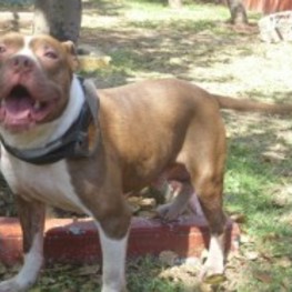 D 95a8d656 94a4 4ed9 8c29 4bbdc4478c3a