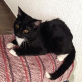 D aad8155e 864e 4dc3 856e 644283722e4f