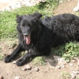 D 201fcbfc 9f08 482d b164 543fd3745dfc