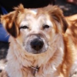 D 233dd004 dcff 4d9a 90ec 8e19770e4f94