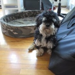 D 68cdb75a 1a5a 4c3f 9714 b0b9c3672a30