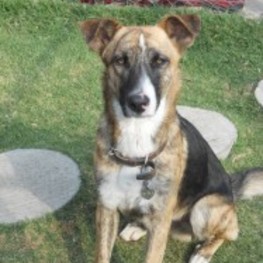 D 9baa6cd7 4bb1 472d 89cc f9c513c5fa7f