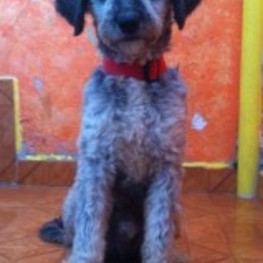 D 3a5ca63d d0c4 402c 97aa 231a3ac923f2