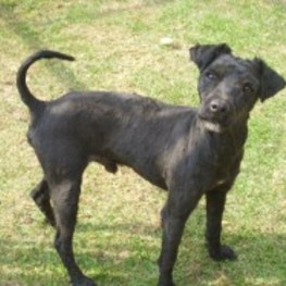 D 748033f6 65da 4aeb 8ba5 8b9f56097d9c