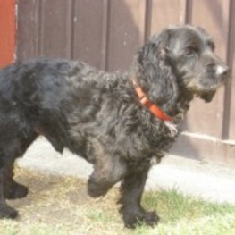 D fbd4cbf1 7624 4915 9edb 1edbccb05958