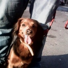 D 540ac225 ce19 4848 a56c f458dcfc3706