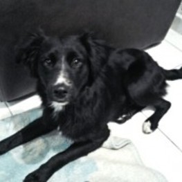 D dde43ffa 549e 4fb5 abc4 4c2f67c4fafa