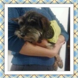 D 8c2835dd 2d3d 4d4d 80f1 685977964e87