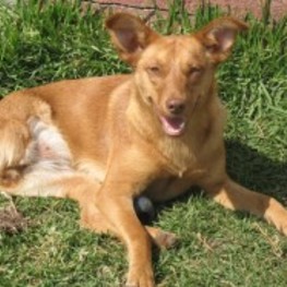 D cd22b66e 125d 49d9 8da5 55a665086d97