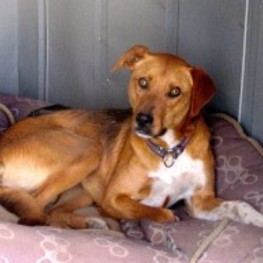 D 226cd0e0 8683 4c17 9ad8 01d69fa67a19