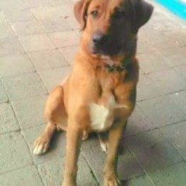 D 3cd94bcf 2d84 4211 95b0 e6c3eb830933