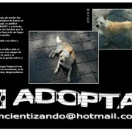 D 9299e2d6 471c 4864 b619 fccc62a5ec00