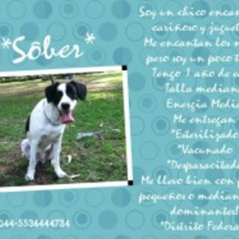 D c045be7b 1eab 4450 94c3 af7df6c790f6